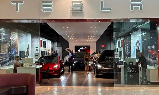 French Tesla Owners Sue Over Brand’s Political Stigma