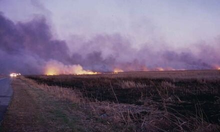 Over 100 Injured After Wildfire Sweeps Through Region Near Marseille