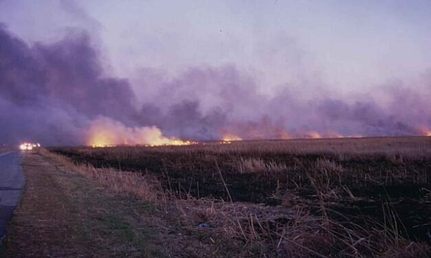 Over 100 Injured After Wildfire Sweeps Through Region Near Marseille