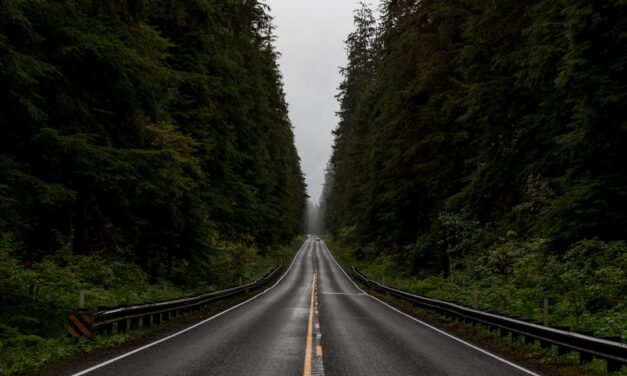 Europeans Flock to Quieter Destinations as Travel Demand Reaches Record Levels Despite Strikes