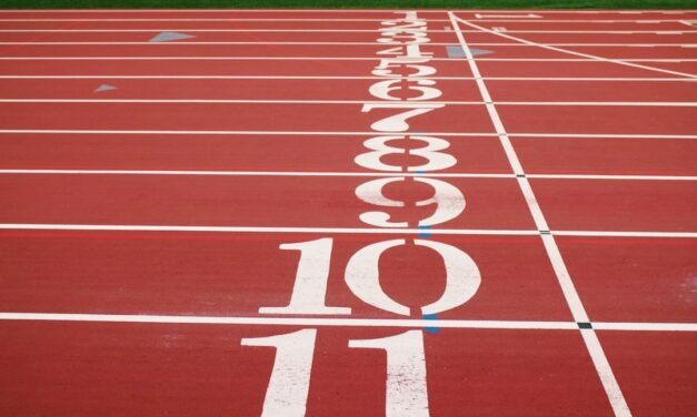 Dutch film Memory Lane wins top honours at European Union Film Festival in New Delhi